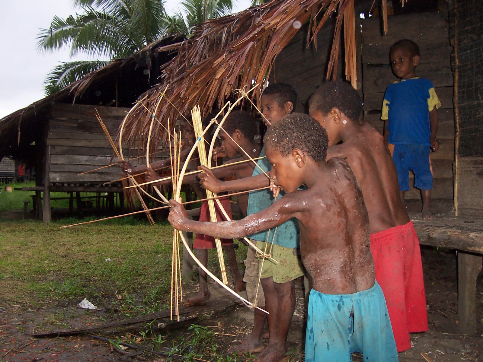 Usir Tanjung: Tradisi Berburu Satwa Liar di Mamberamo, Papua