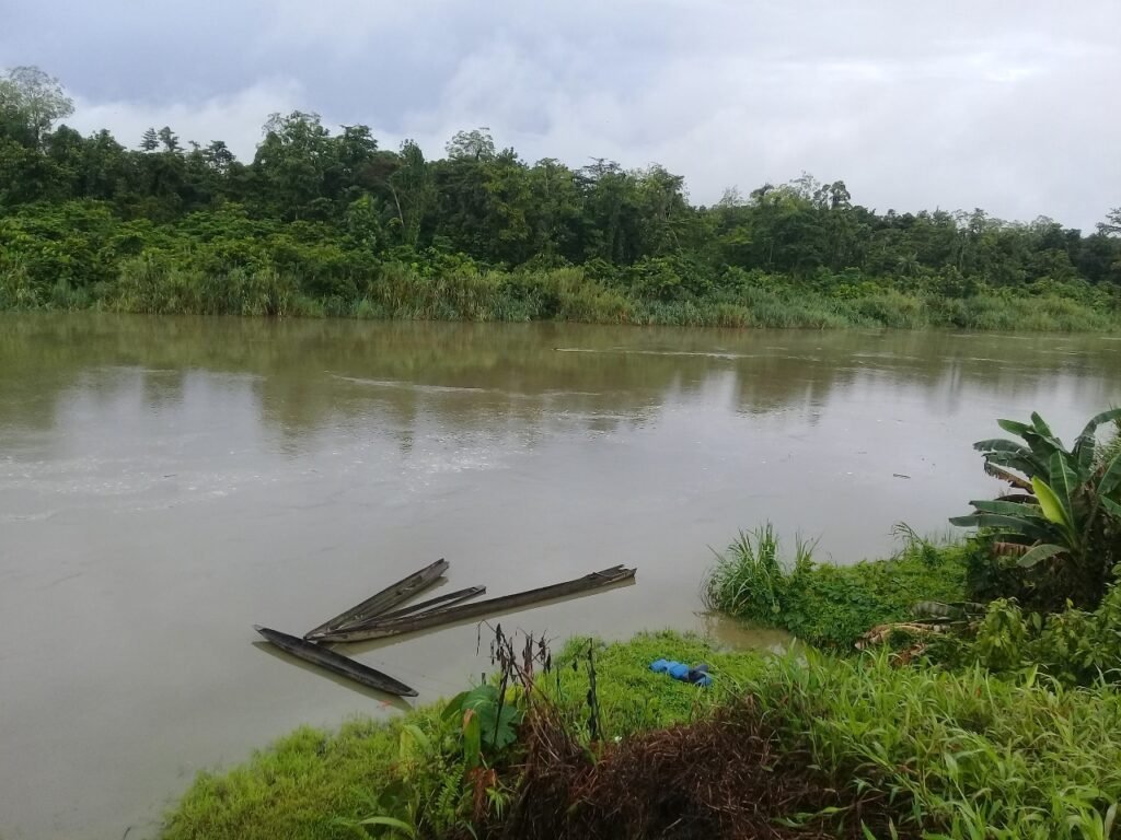 WhatsApp Image 2025-10-31 at 15.33.27 (1)