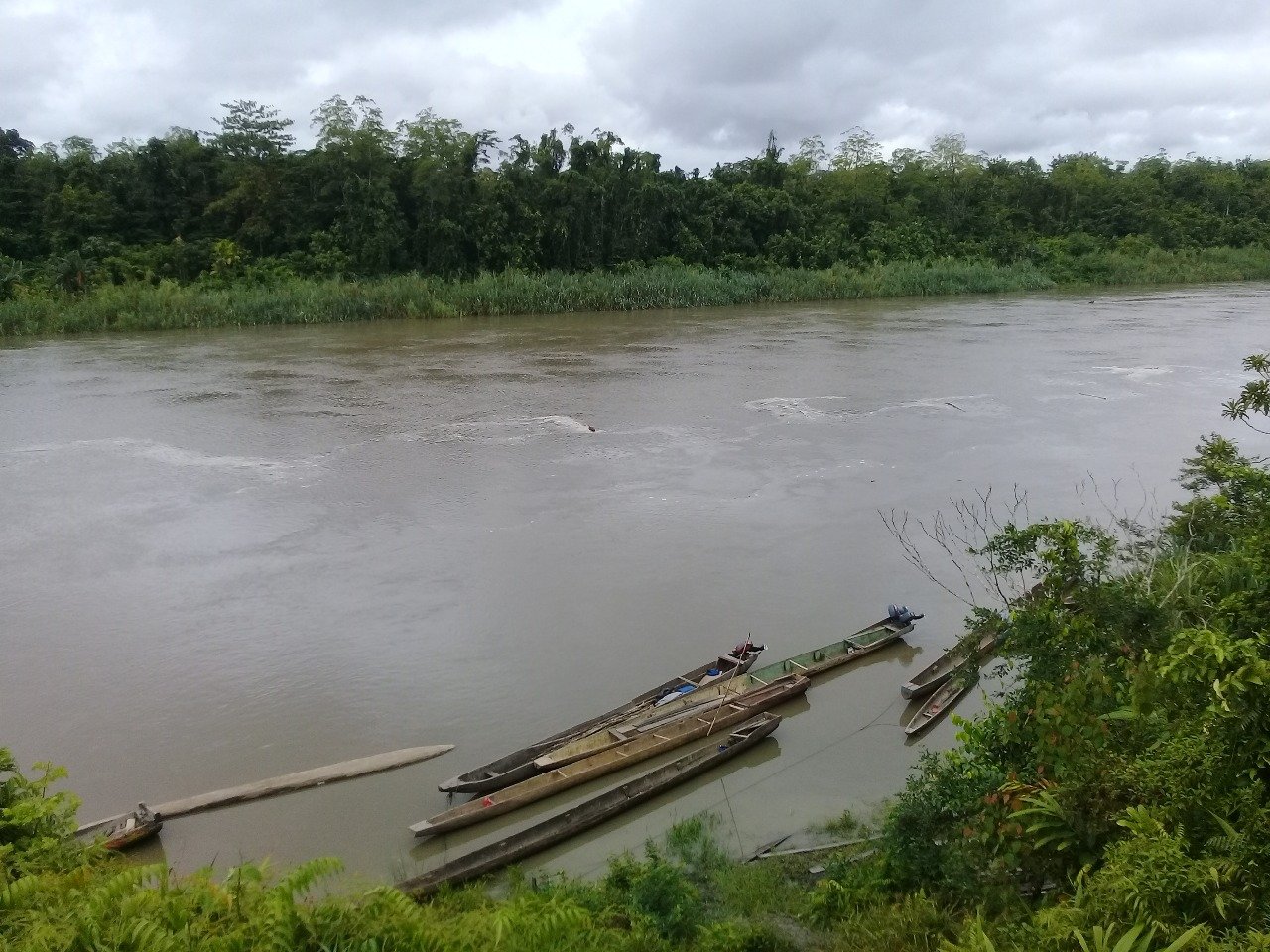 Pelajaran dari Pagai: Di Mana Alam dan Manusia Saling Menjaga