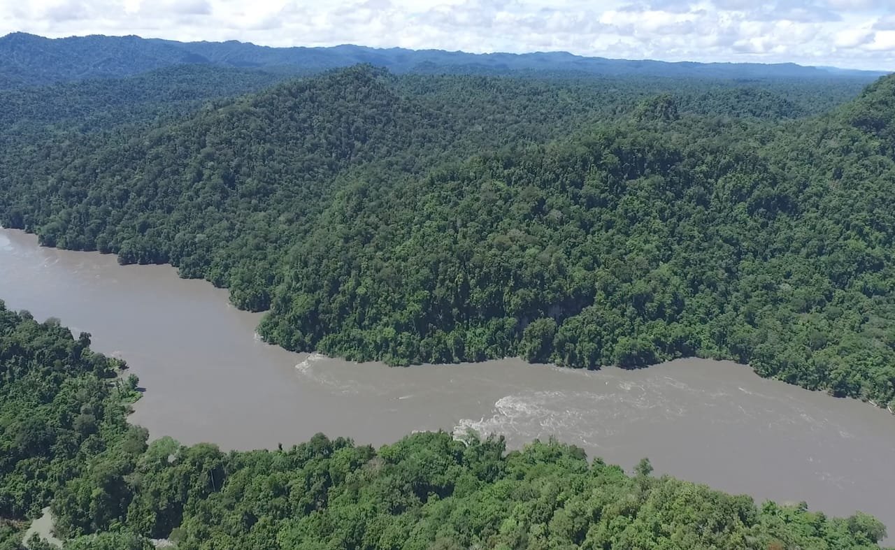 Mamberamo Foja: Menjaga Jantung Rimba Papua di Tengah Sunyi