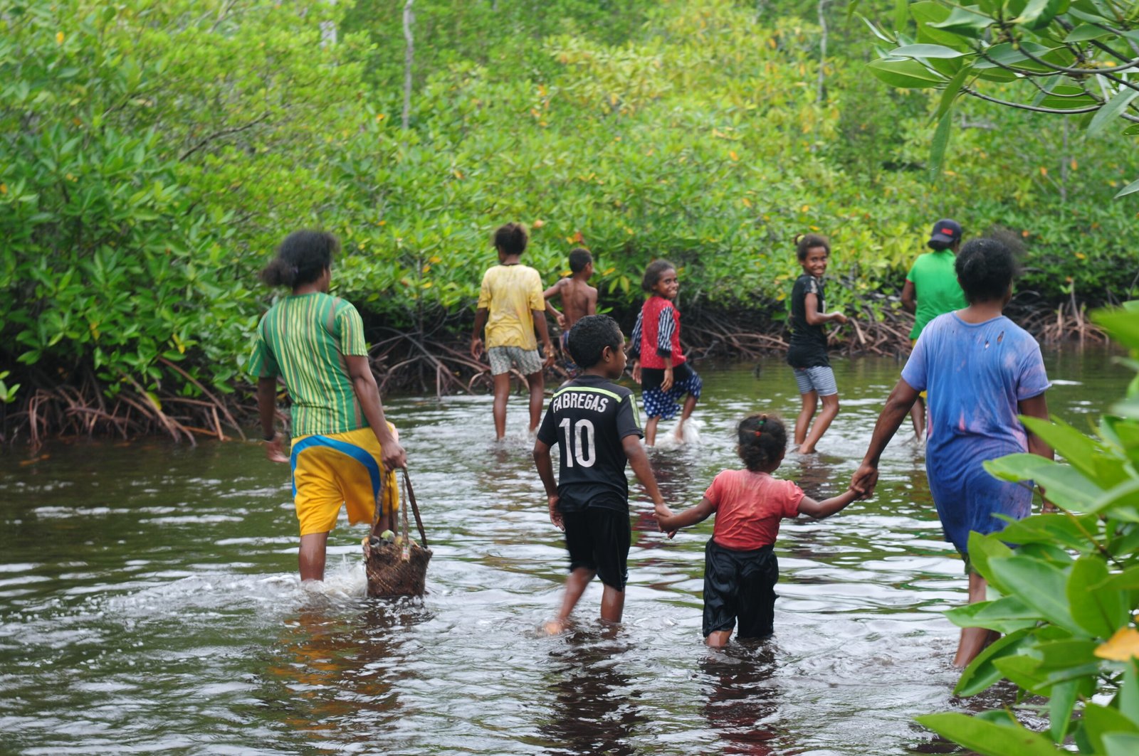 Intsia dan Kemandirian Masyarakat Adat Papua
