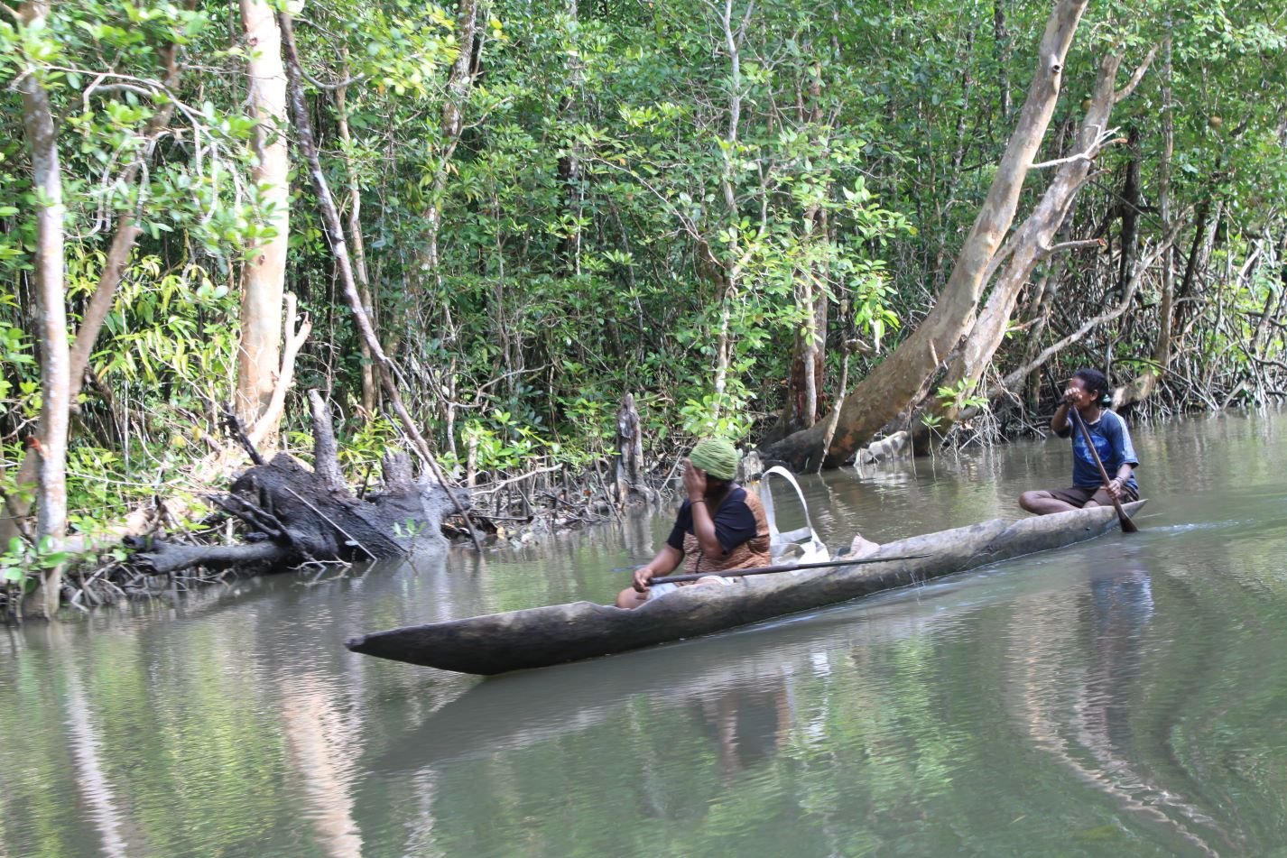 Rapamerei: Isolated Amid Mamberamo’s Mangrove Wealth